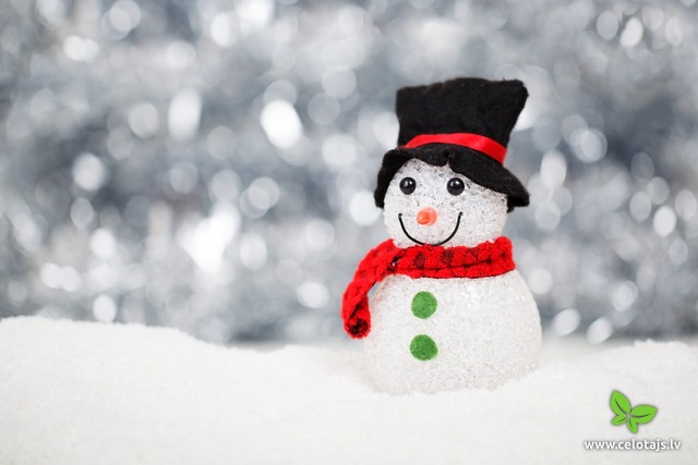 christmas-snow-snowman-decoration-40541.jpeg
