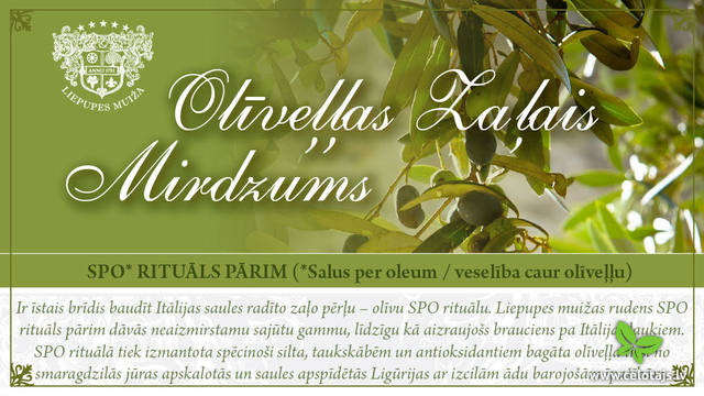 olivellas2.jpg
