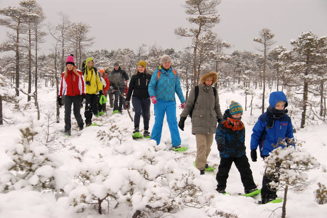 winter-kemeri-national-park.JPG