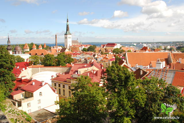 Tallinn.JPG