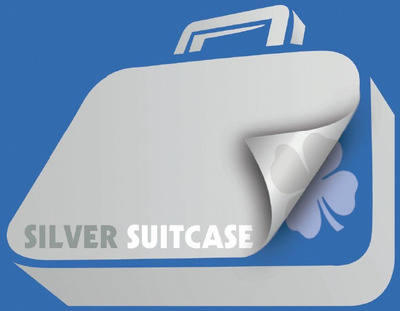 silversuitcase.jpg