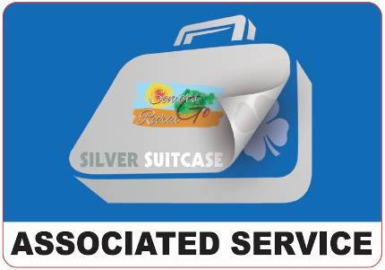 Silver_suitcase.jpg
