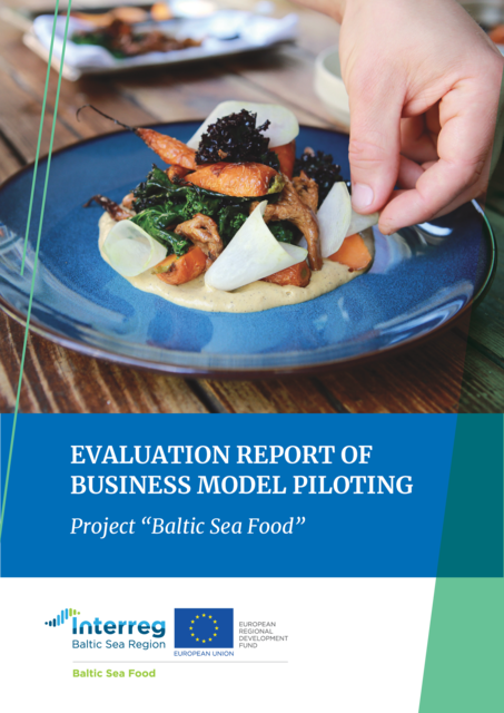 BSF_evaluation_report.pdf